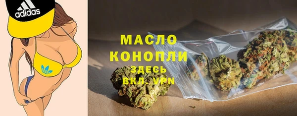 спиды Богородицк