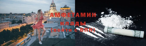 спиды Богородицк