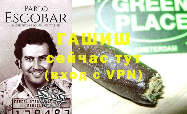 спиды Богородицк