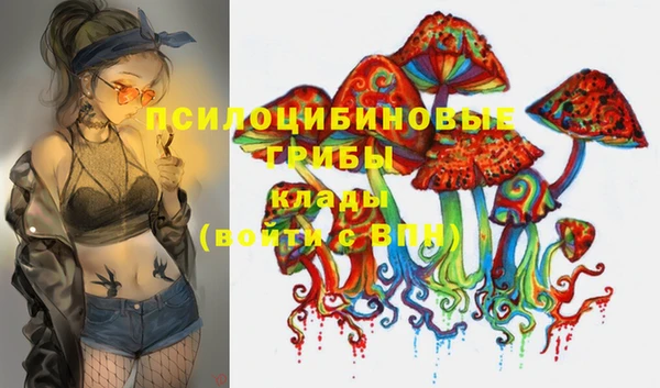 каннабис Белокуриха