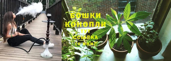 спиды Богородицк